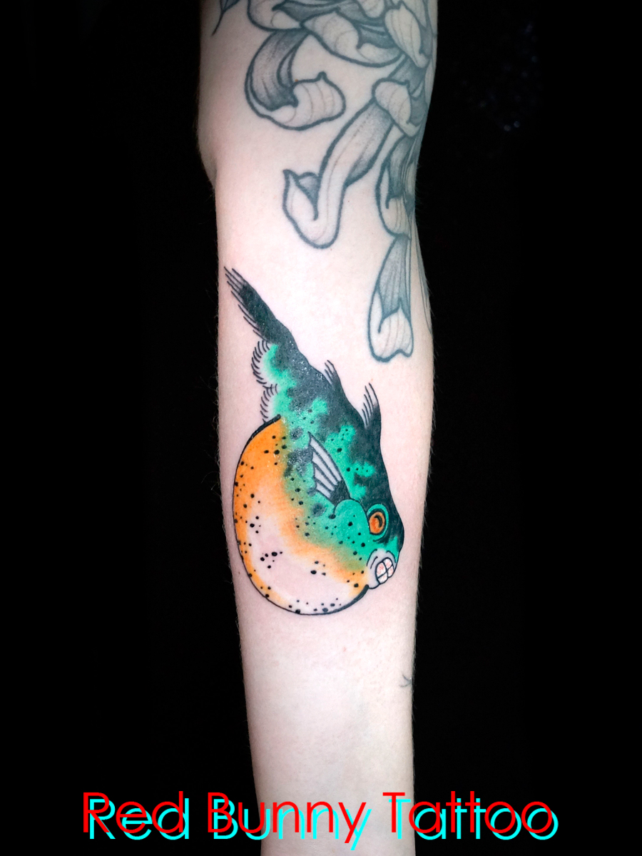 ӂ@^gD[fUC  blowfish